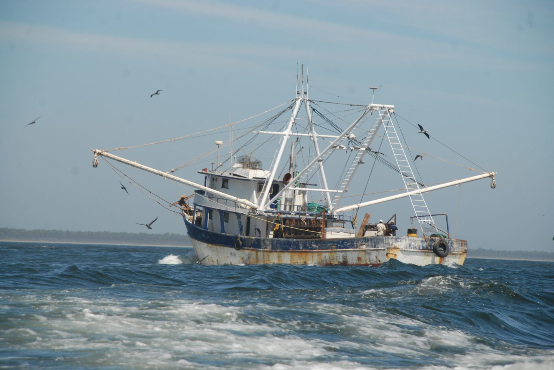 Mazatlán, el origen de la pesca de arrastre en Baja California Sur -  Reportajes