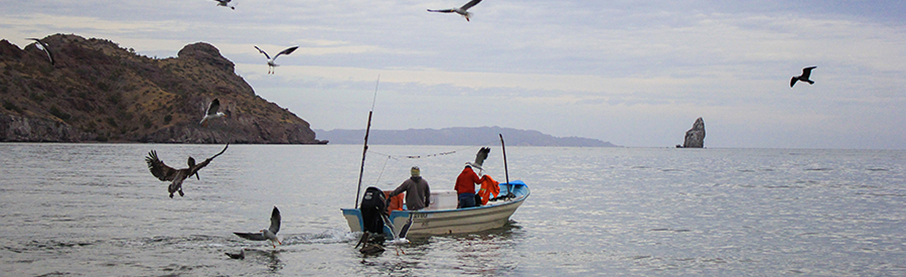 Refugios pesqueros, el esfuerzo solitario de los pescadores en el Corredor San Cosme-Punta Coyote