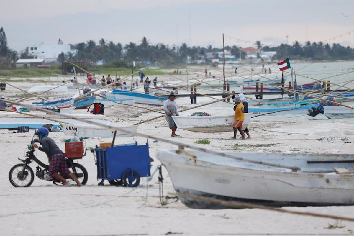 Pescadores en Yucatán tienen representación en comités consultivos del mero y pulpo para tomar decisiones sobre el manejo de su pesquería. Foto: Conapesca.