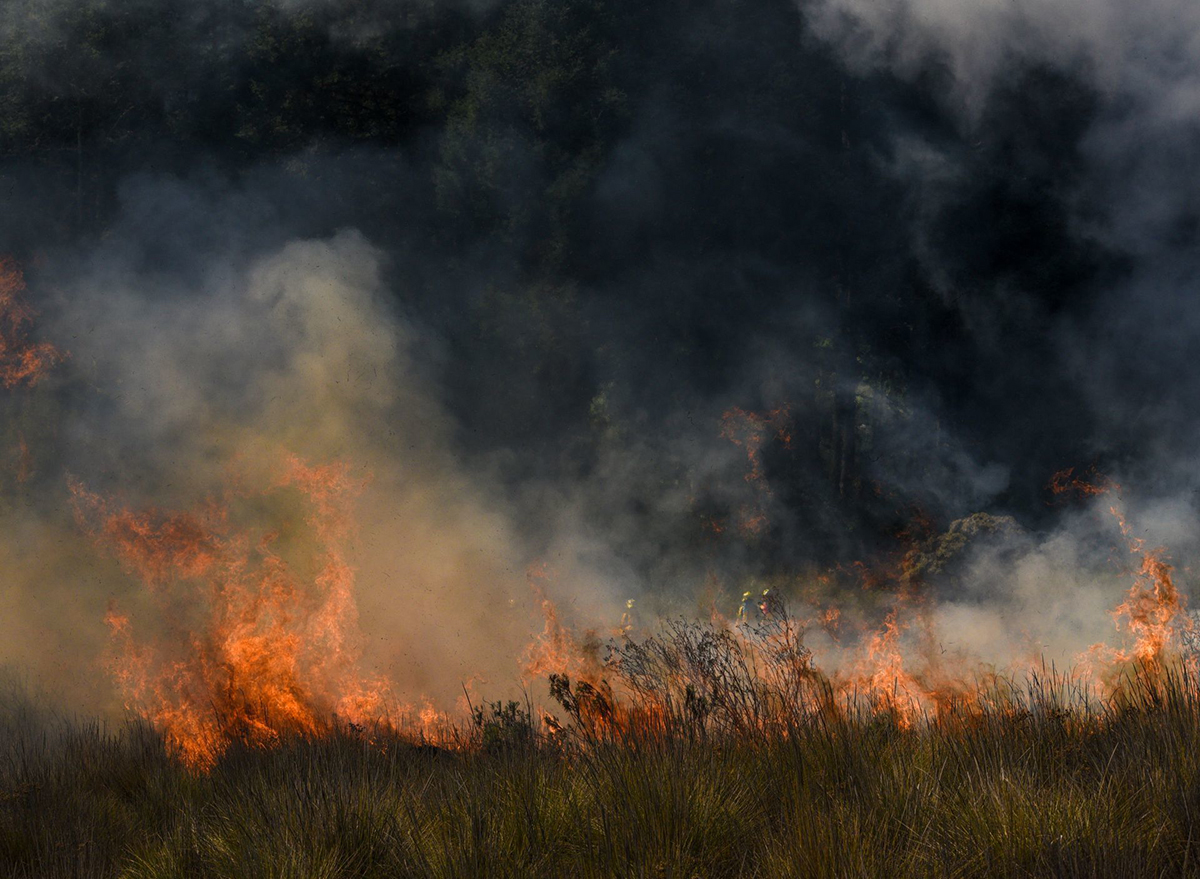 Fuego en ascenso: los incendios forestales en áreas protegidas de México