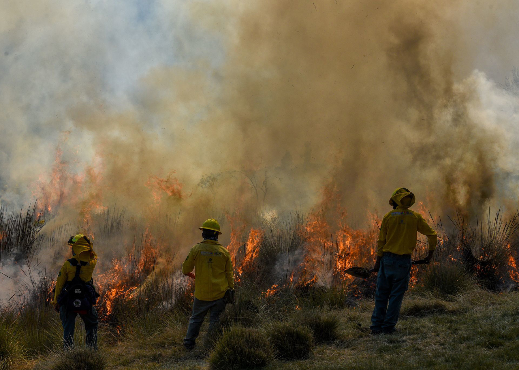 Fuego en ascenso: los incendios forestales en áreas protegidas de México
