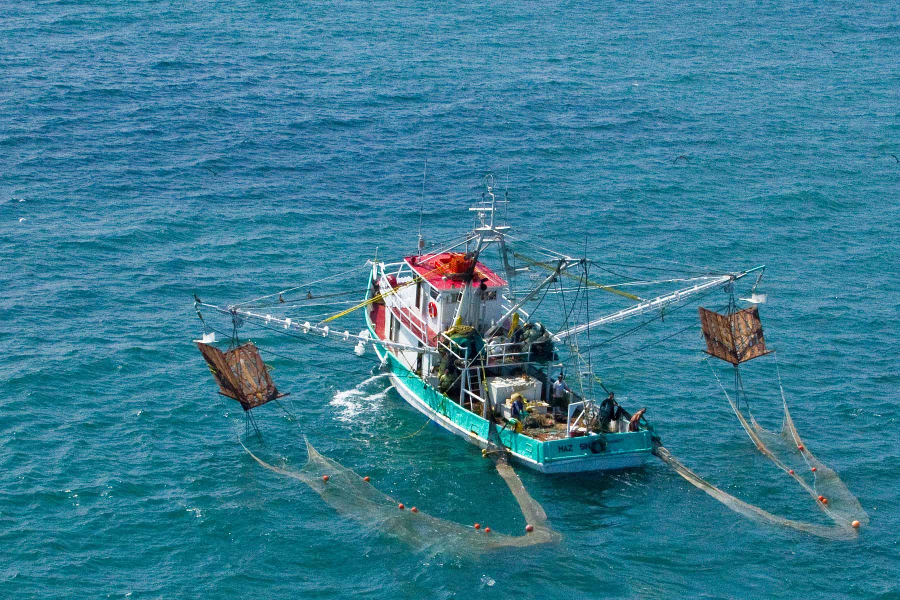 Mazatlán, el origen de la pesca de arrastre en Baja California Sur