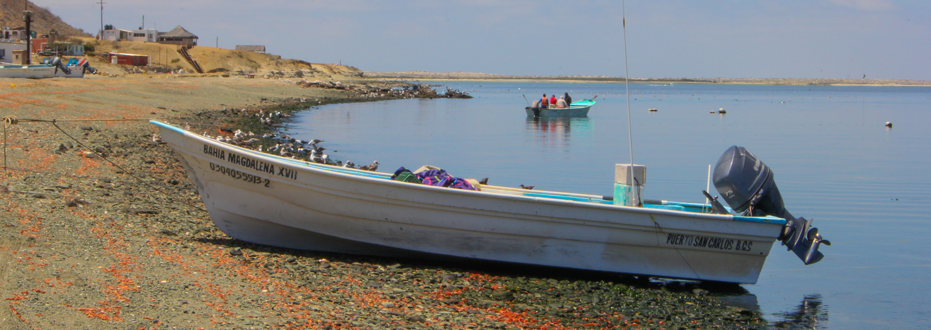 Doble jornada y riesgo, así es la vigilancia pesquera en Bahía Magdalena